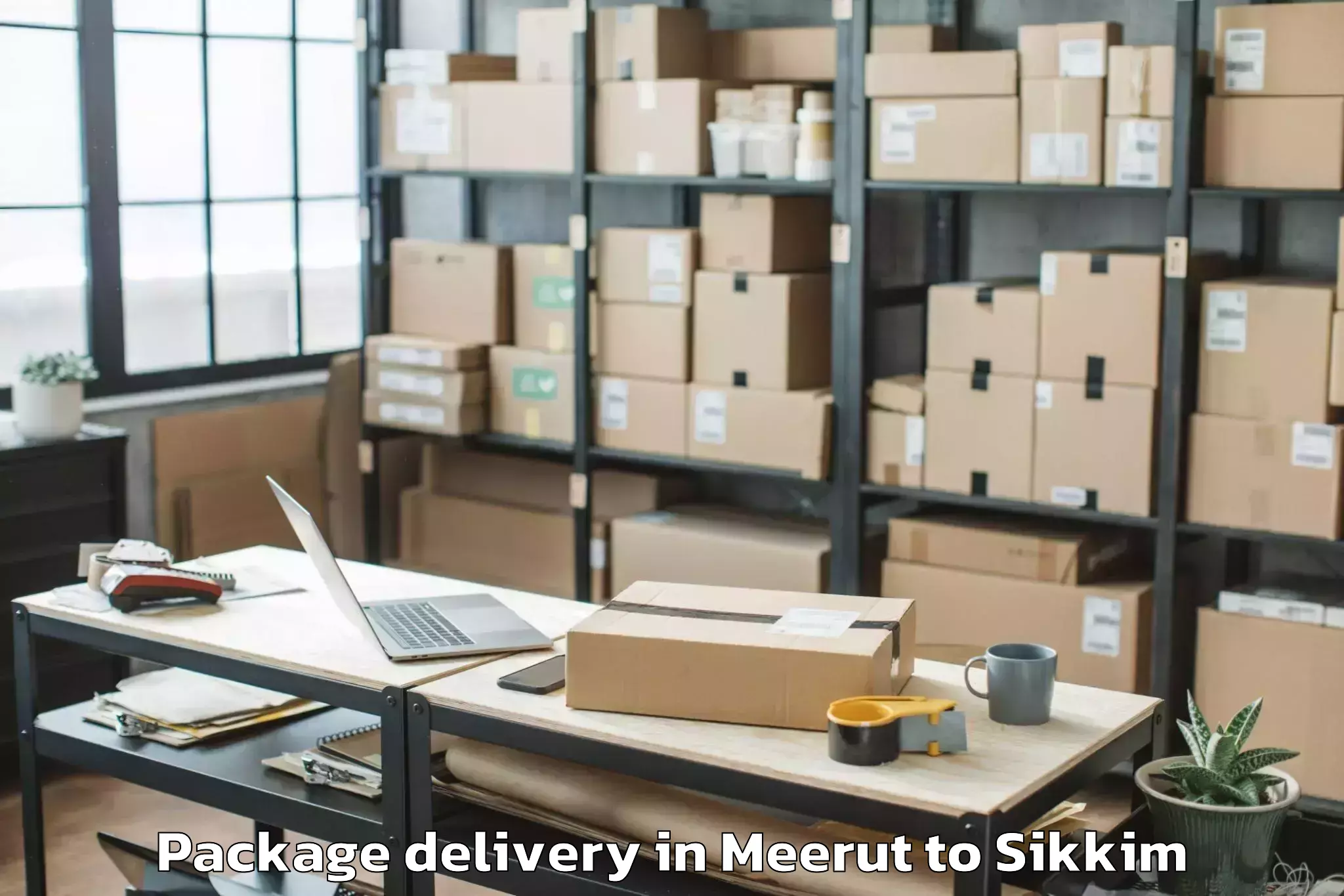 Professional Meerut to Icfai University Sikkim Gangto Package Delivery